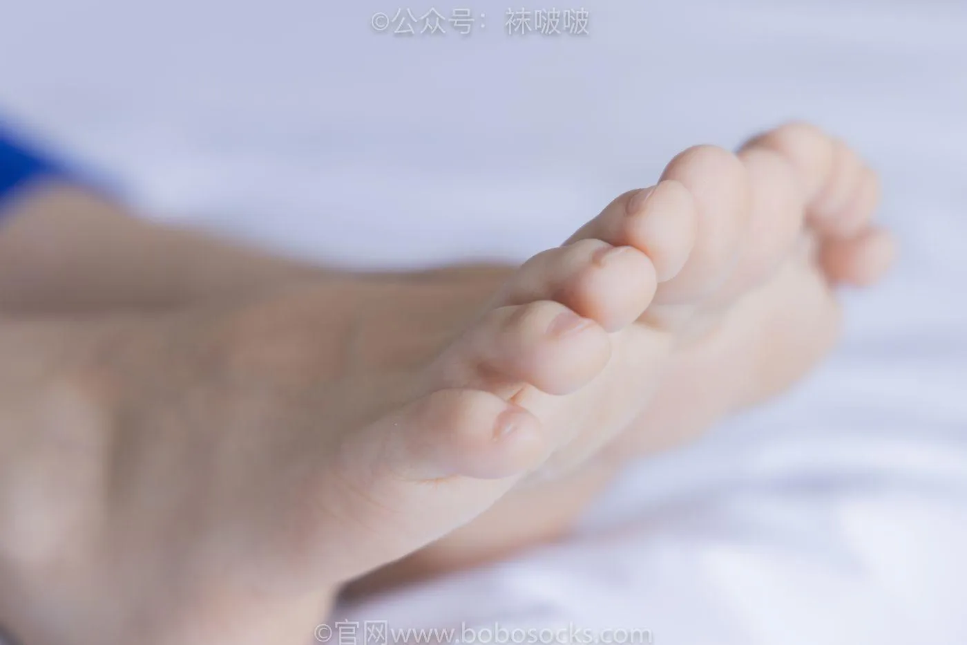 [BoBoSocks袜啵啵]NO.039 小奶熊-校服、vans帆布鞋、短白棉袜、裸足 [154P]插图